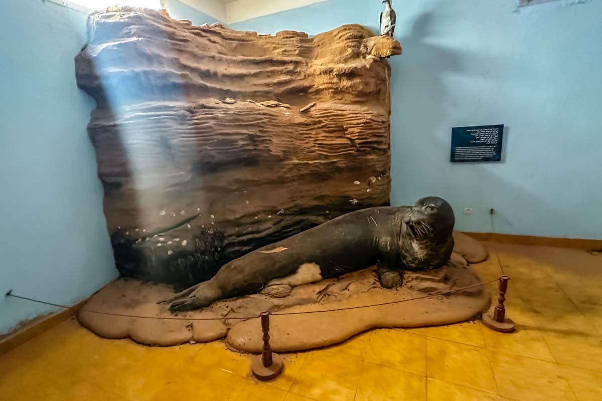agencia especializada, Aventura, choum, expedición, Mauritania, Nuadibú, que ver, ruta, tren de hierro, Viaje, viaje solo