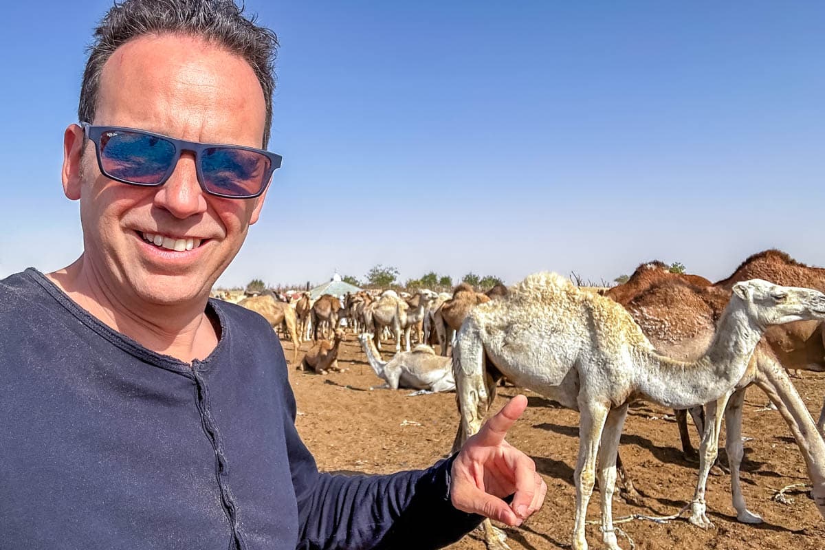 agencia especializada, Aventura, camellos, expedición, Mauritania, mercado, Nuakchot, pescado, que ver, ruta, Viaje, viaje solo, visitas