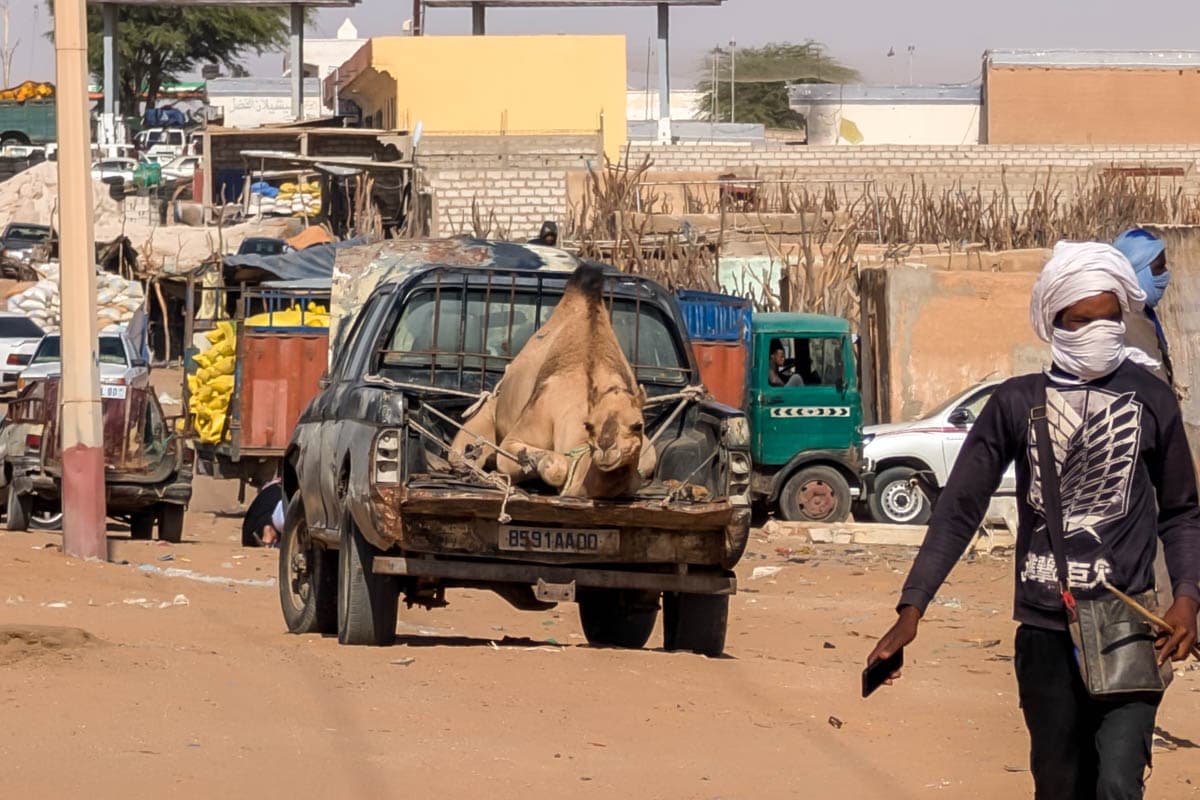 agencia especializada, Aventura, camellos, expedición, Mauritania, mercado, Nuakchot, pescado, que ver, ruta, Viaje, viaje solo, visitas