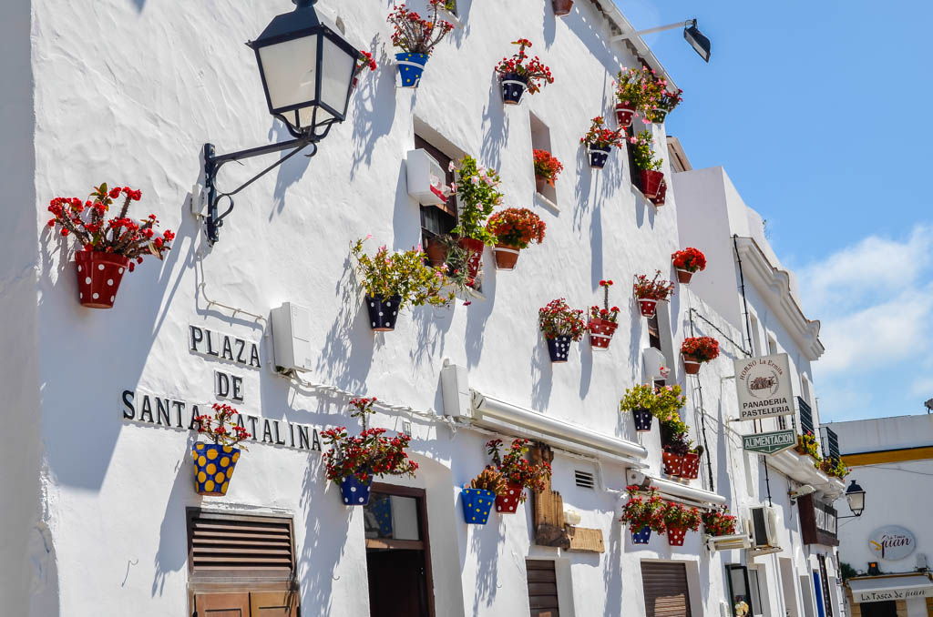 Andalucia, cádiz, conil de la frontera, costa de la luz, donde comer, playas, por libre, que hacer, que ver