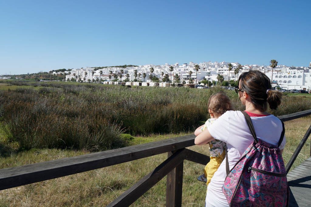 Andalucia, cádiz, conil de la frontera, costa de la luz, donde comer, playas, por libre, que hacer, que ver