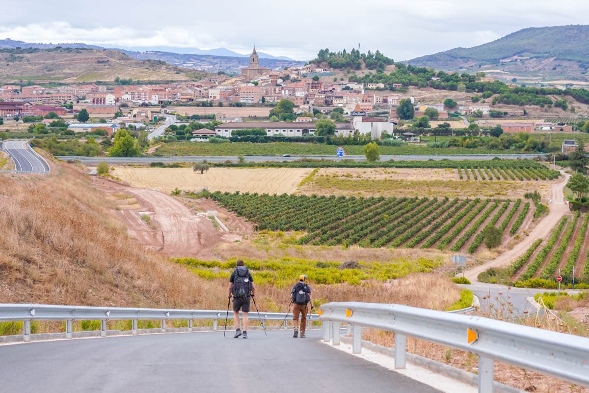 bicicleta, bodegas, catas, globo, imprescindibles, La Rioja, planes, que hacer, que ver, restaurantes, tapas, toño, viñedos, visitas