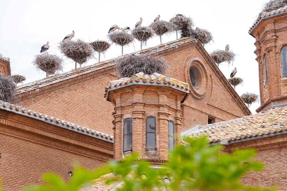 Alfaro, cigüeña, Colegiata de San Miguel, La Rioja, observatorio de aves, qué ver, Qué ver en Alfaro, Sotos del Ebro, viñedos
