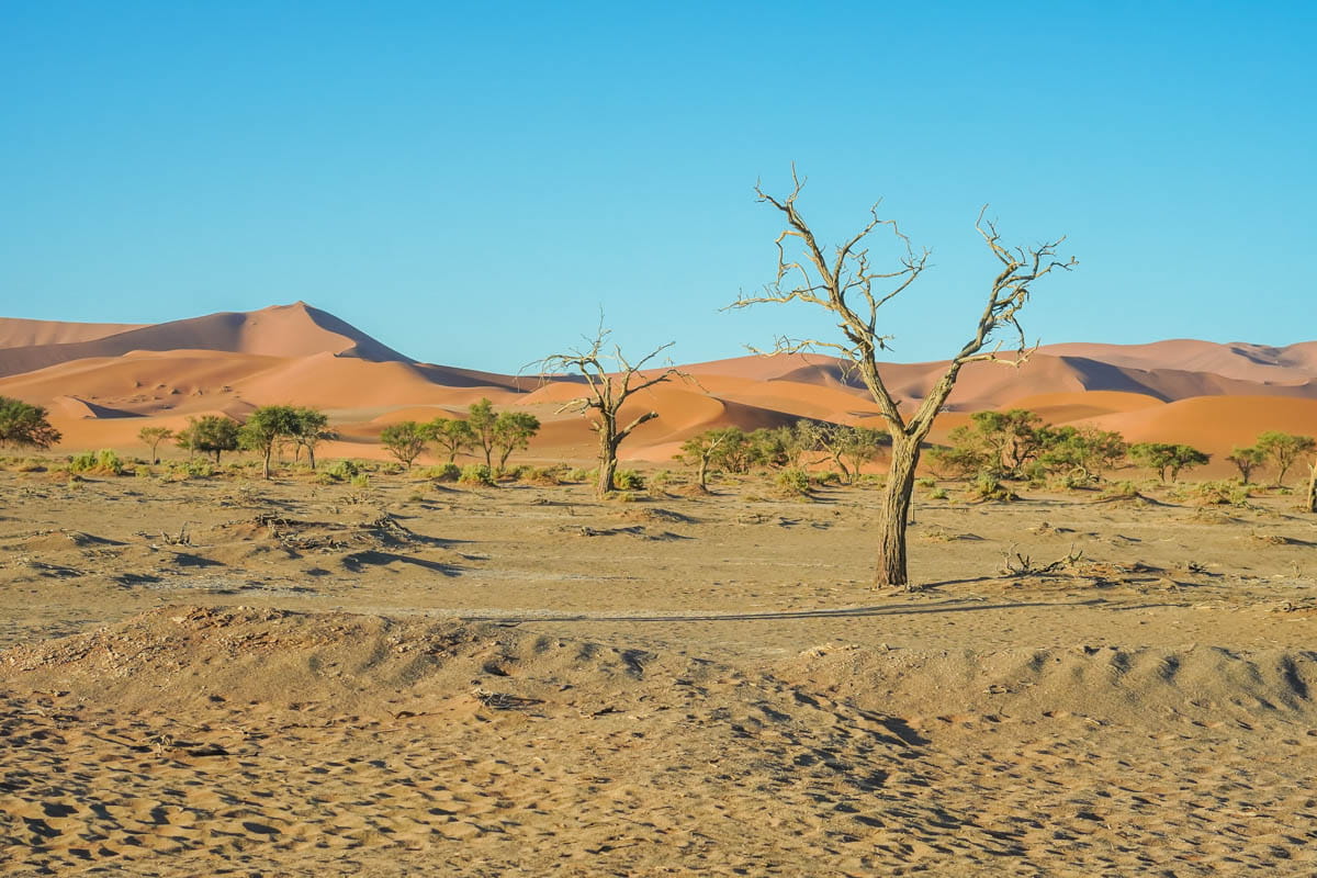 agencia especializada, alojamiento, Cañón, desierto, Namib, Namibia, que ver, ruta, Sesriem, Sossusvlei, viaje solo
