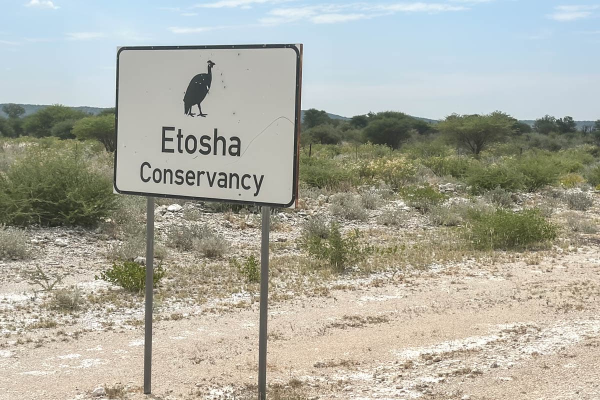 agencia especializada, alojamiento, Etosha, Namibia, Parque Nacional, que ver, ruta, Twyfelfontein, viaje solo