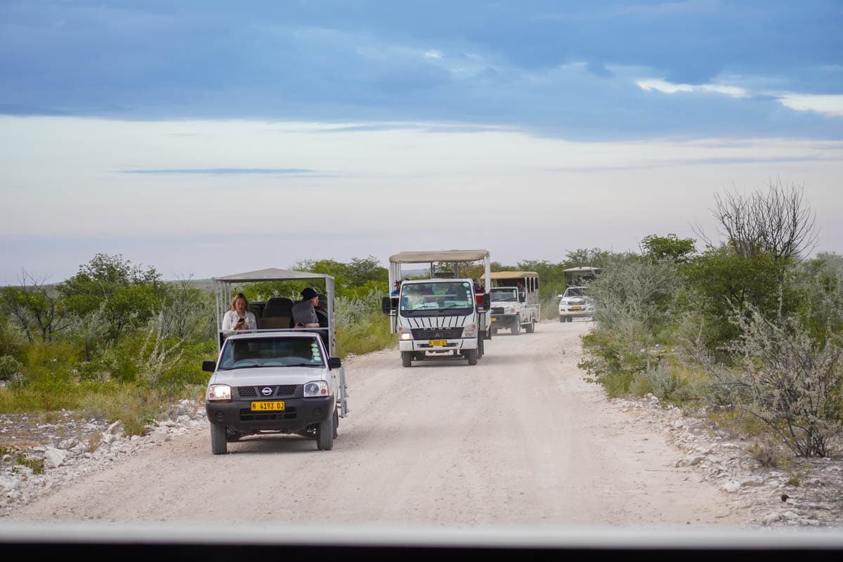 africa, agencia especializada, alojamiento, Etosha, Namibia, Parque Nacional, que ver, ruta, safari, viaje solo
