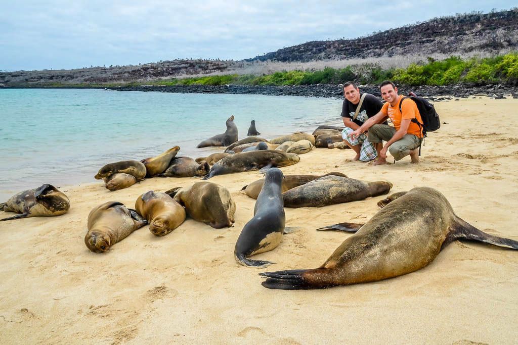 Ecuador, Islas Galápagos, por libre, Puerto Ayora, Santa Cruz, Santa Fé, viaje con amigos