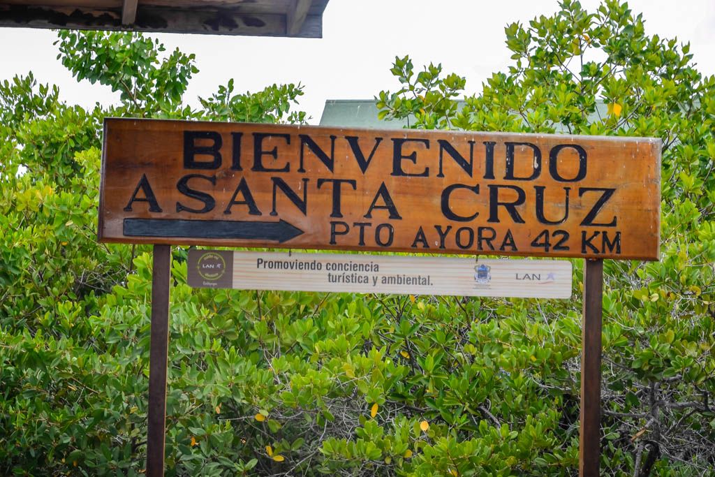 Ecuador, Islas Galápagos, Manzanillo, por libre, Santa Cruz, Santa Rosa, viaje con amigos