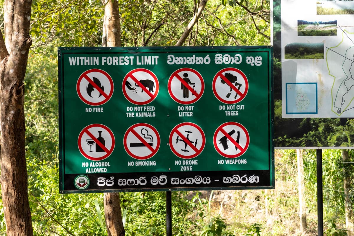 agencia especializada, elefantes, Habarana, Hiriwadunna, poblado, que ver, recorrido, ruta, safari, Sri Lanka, viaje con amigos, villa