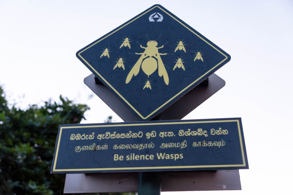 agencia especializada, que ver, recorrido, roca, ruinas, ruta, Sigiriya, Sri Lanka, Unesco, viaje con amigos