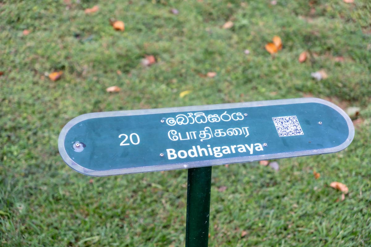 agencia especializada, que ver, recorrido, roca, ruinas, ruta, Sigiriya, Sri Lanka, Unesco, viaje con amigos