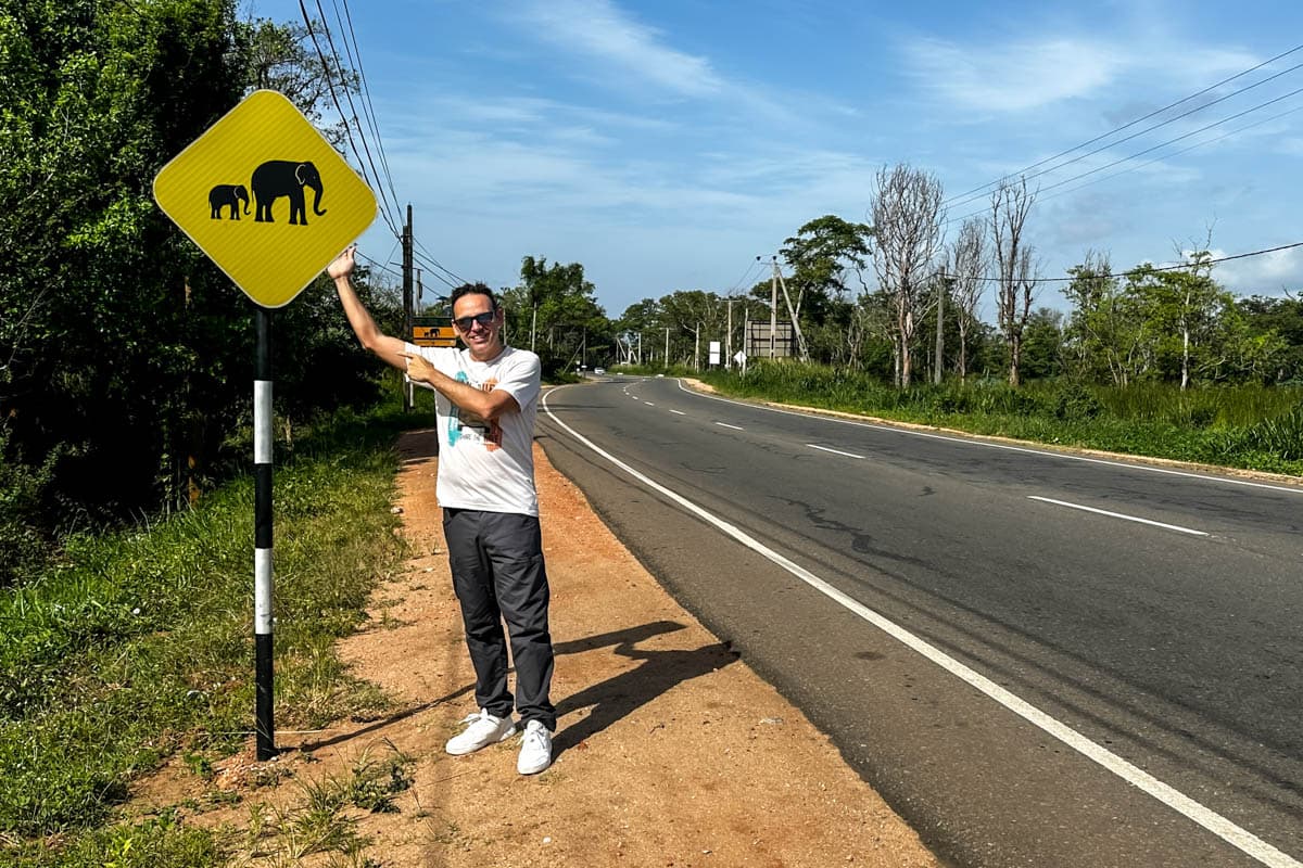 agencia especializada, colonial, Kandy, plantaciones, que ver, recorrido, ruta, Sri Lanka, té, viaje con amigos