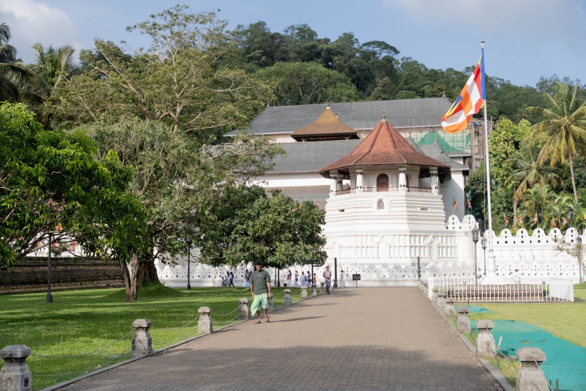 agencia especializada, colonial, Kandy, plantaciones, que ver, recorrido, ruta, Sri Lanka, té, viaje con amigos