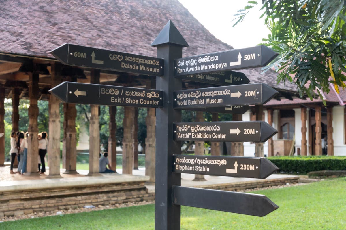 agencia especializada, colonial, Kandy, plantaciones, que ver, recorrido, ruta, Sri Lanka, té, viaje con amigos