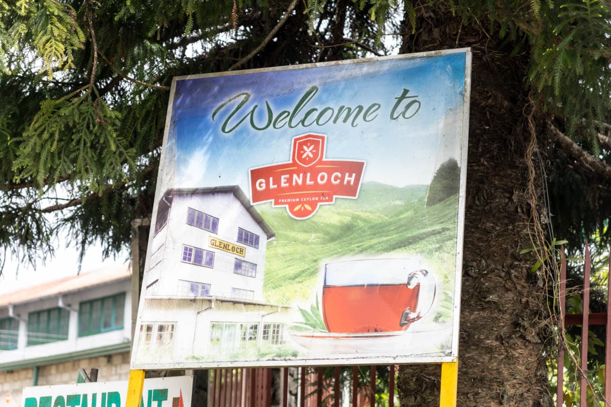 agencia especializada, colonial, Nuwara Eliya, plantaciones, que ver, recorrido, ruta, Sri Lanka, té, viaje con amigos