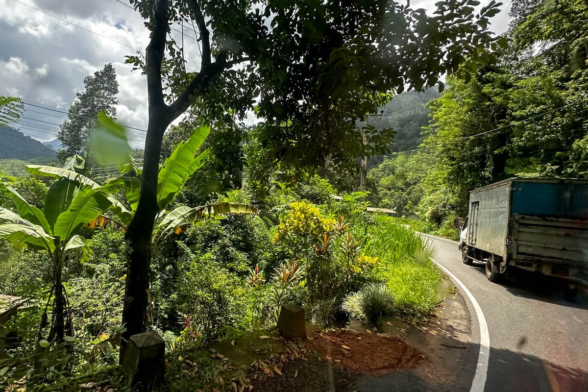 agencia especializada, Bentota, Nuwara Eliya, playas, que ver, recorrido, ruta, Sri Lanka, viaje con amigos