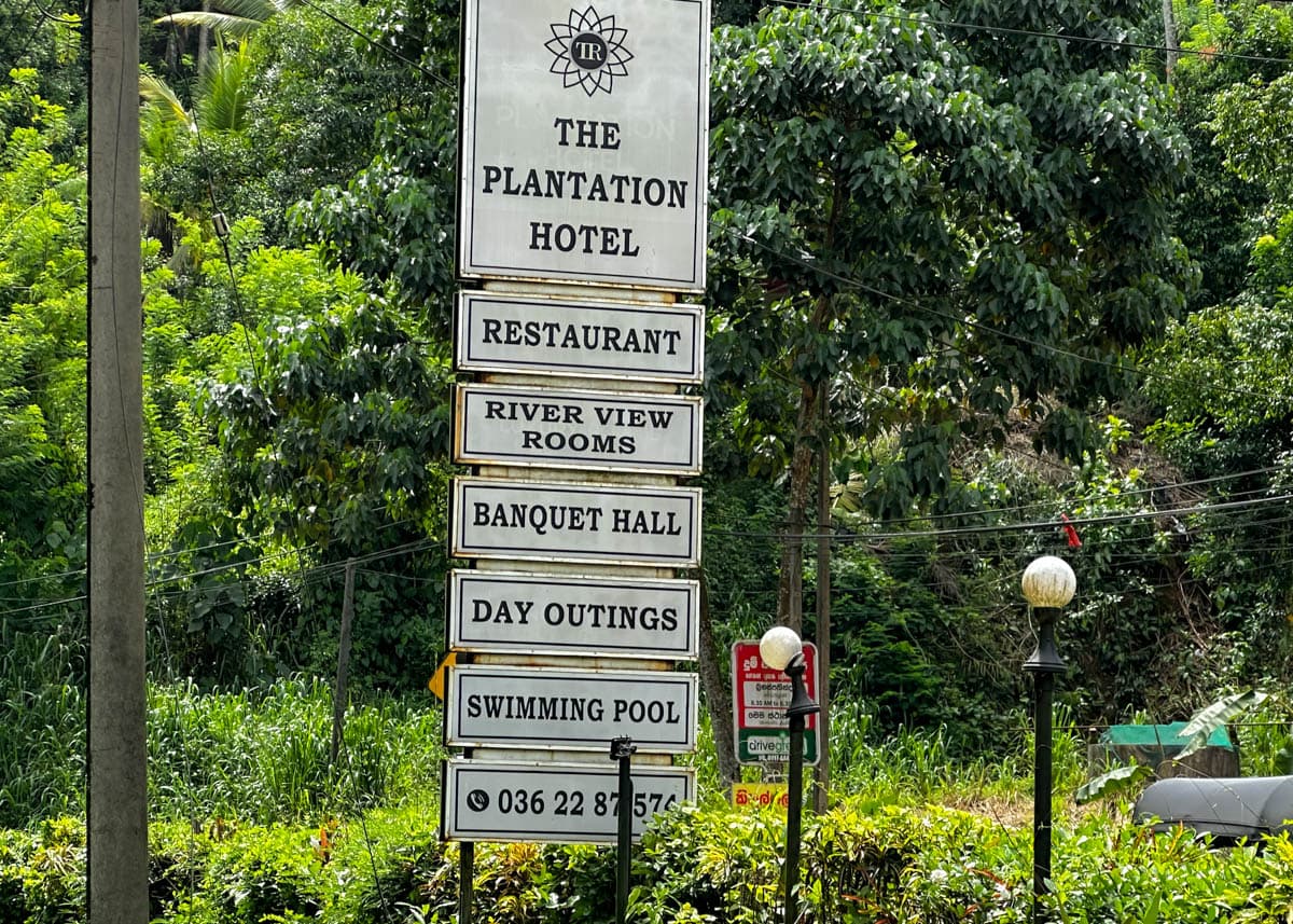 agencia especializada, Bentota, Nuwara Eliya, playas, que ver, recorrido, ruta, Sri Lanka, viaje con amigos