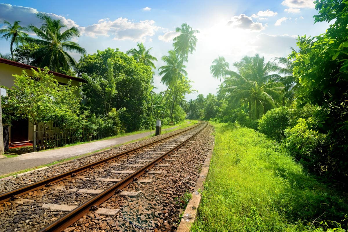 agencia especializada, diferencia horaria, documentación, idioma, mejor época, presupuesto, ruta, transporte, vacunas, viaje con amigos, viaje solo, visado