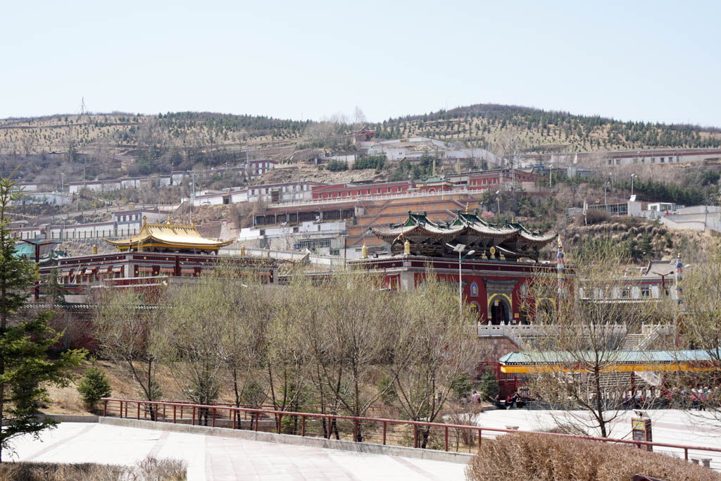 agencia especializada, China, Dongguan, Kumbum, mezquita, monasterio, viaje solo, Xi'an, Xining